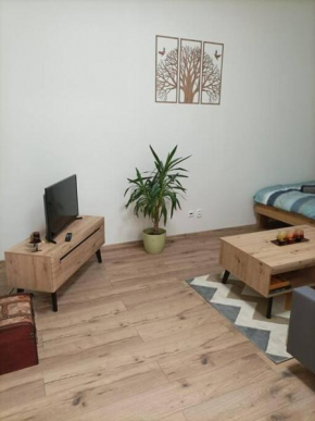 Štýlový Apartmán Zemplínska